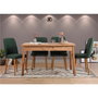Hanah Home Juego de Mesa y Sillas de Comedor (5 Piezas) Pino Atlántico y Verde, Tablero Melamínico 18mm, Sillas Metal Lino